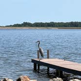 Review photo of Walleye Park by Napunani , June 9, 2023