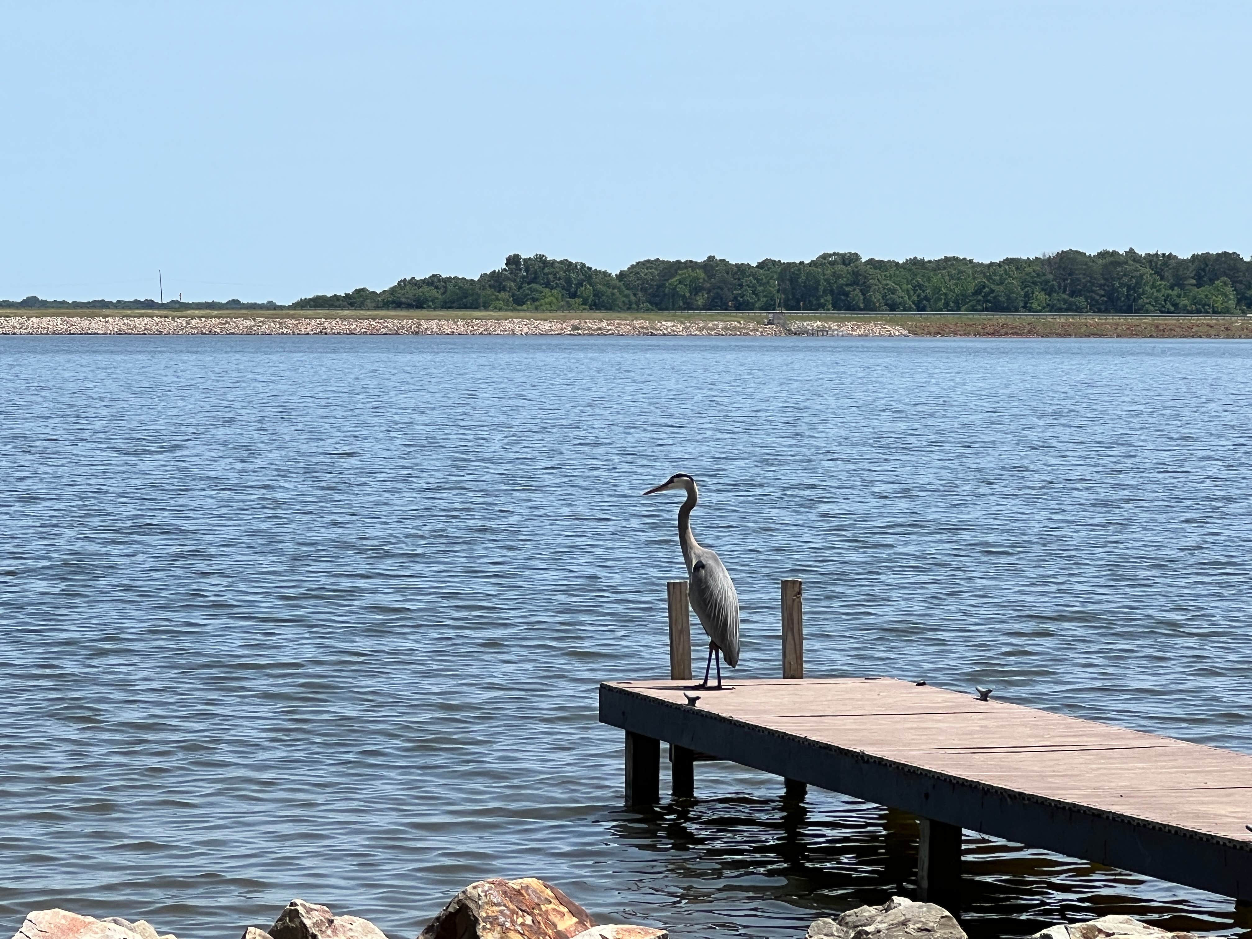 Camper submitted image from Walleye Park - 4