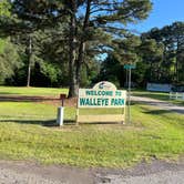 Review photo of Walleye Park by Napunani , June 9, 2023