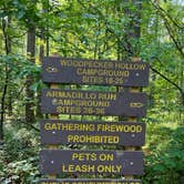 Review photo of Caddo Lake State Park Campground by Napunani , June 9, 2023