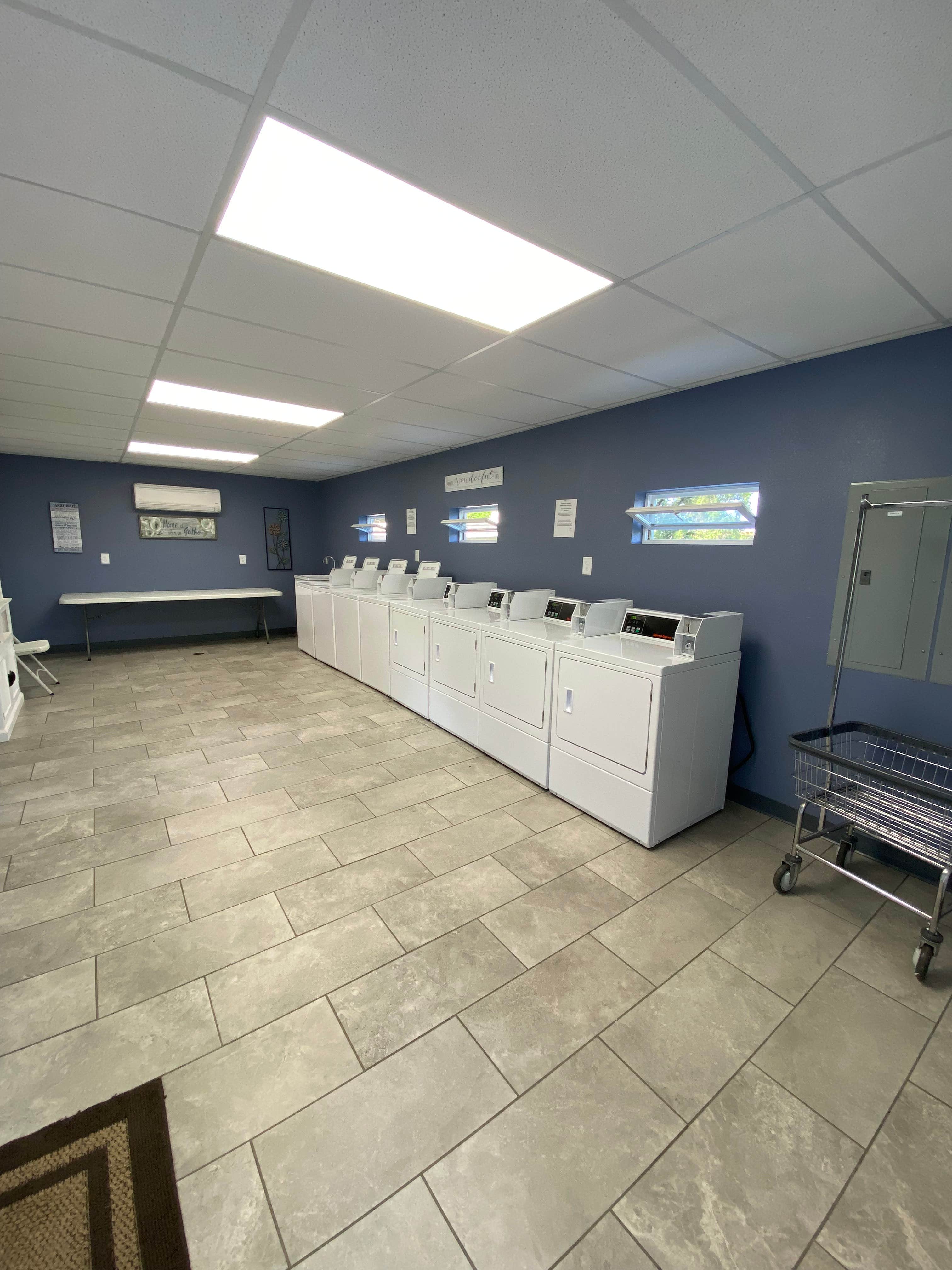 Camper-submitted photo at Lazy Llama Campground near Greeneville, TN