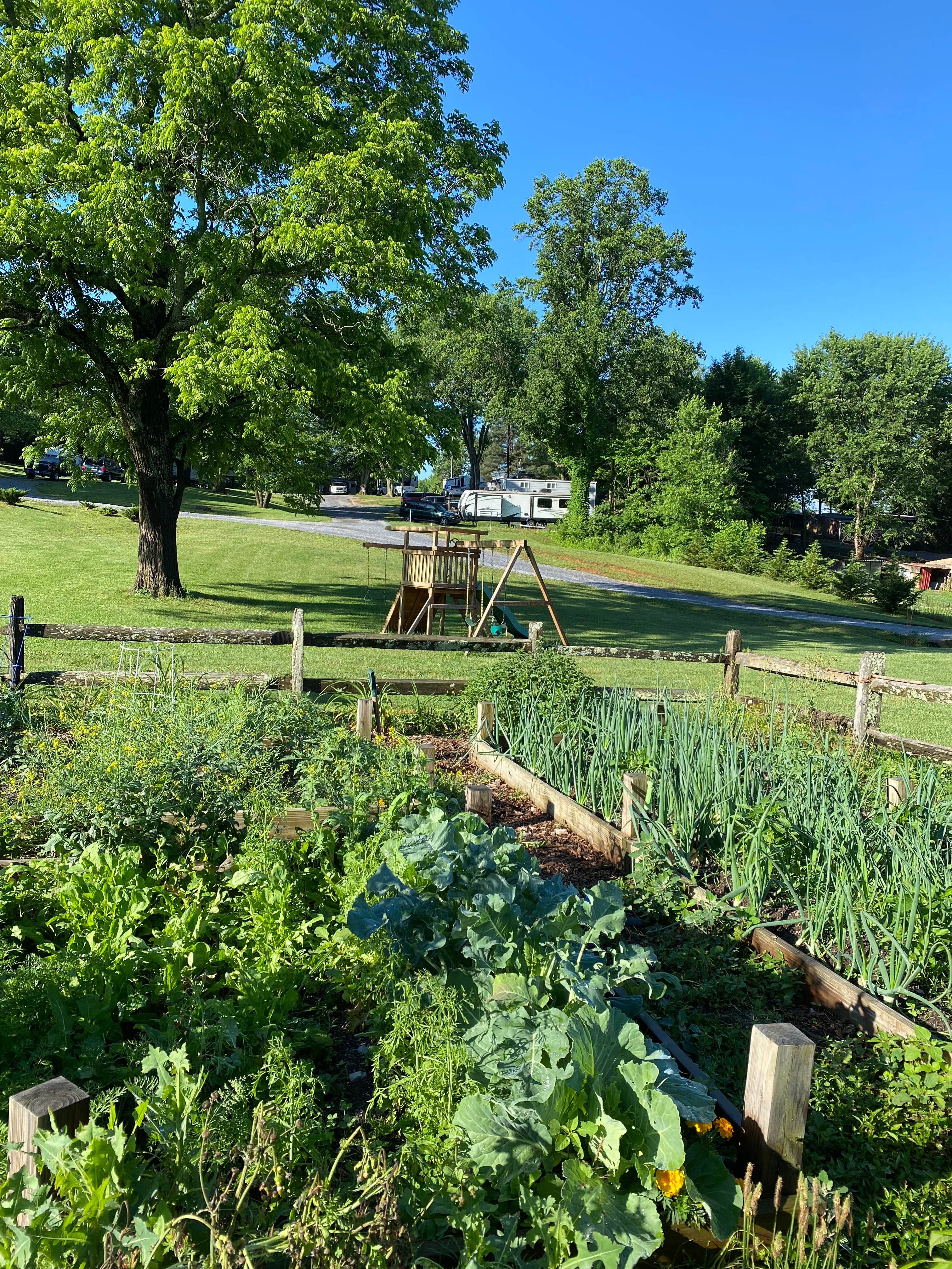 Camper-submitted photo at Lazy Llama Campground near Greeneville, TN
