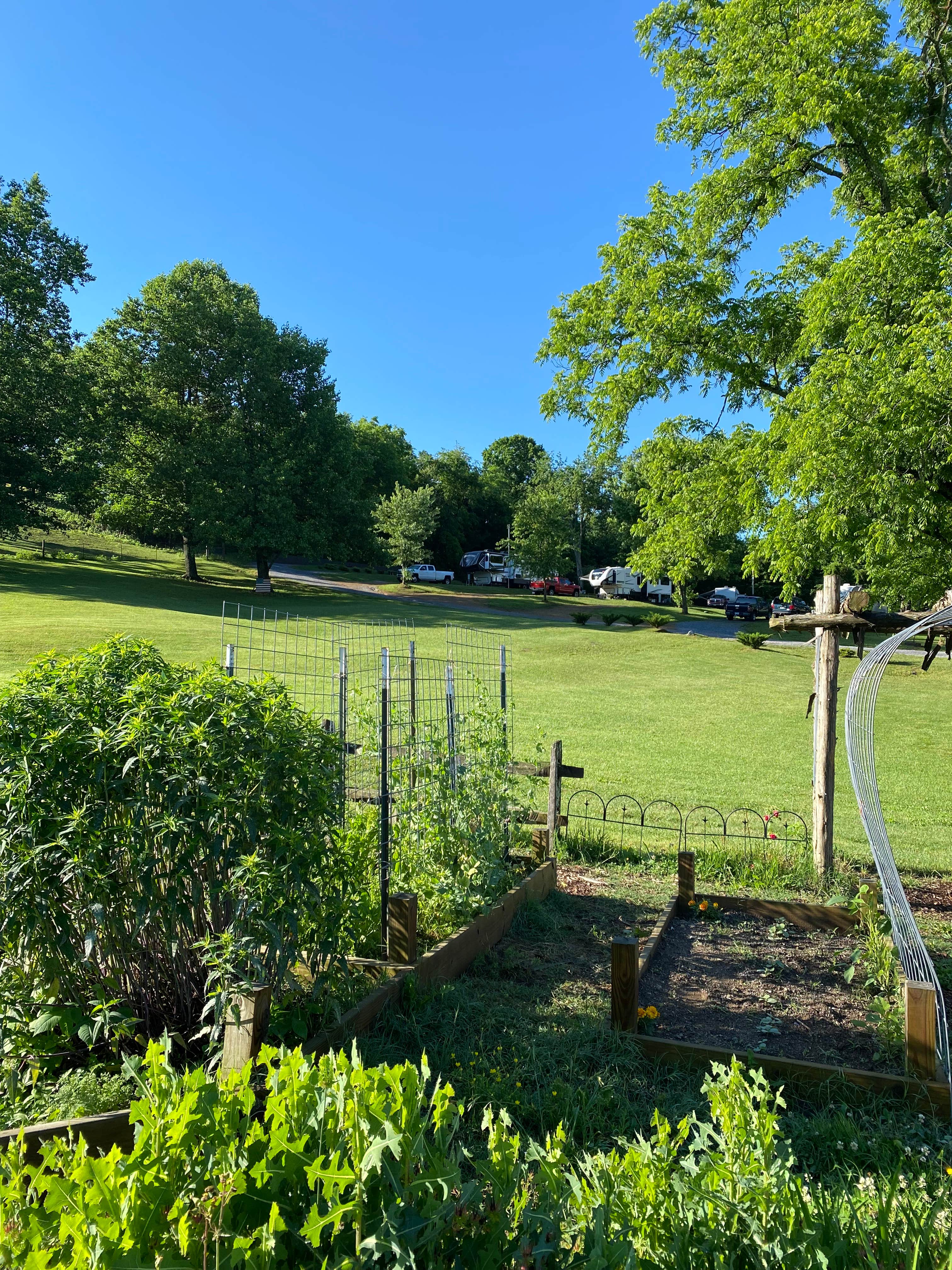 Camper-submitted photo at Lazy Llama Campground near Greeneville, TN
