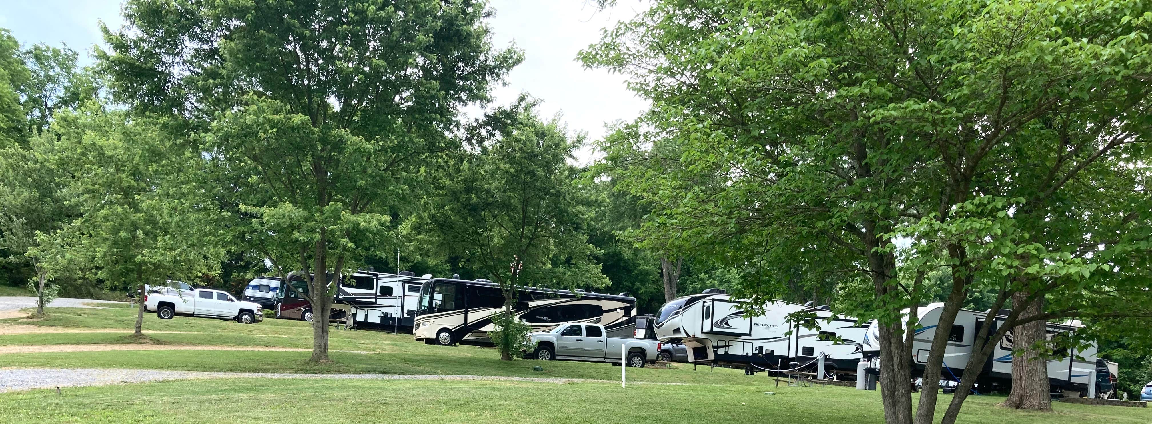 Lazy L.'s photo at Lazy Llama Campground near Cherokee National Forest