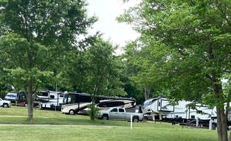 Lazy L.'s photo at Lazy Llama Campground near Ducktown, TN