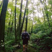 Review photo of Lyman Run State Park Campground by Brooke J., October 15, 2018