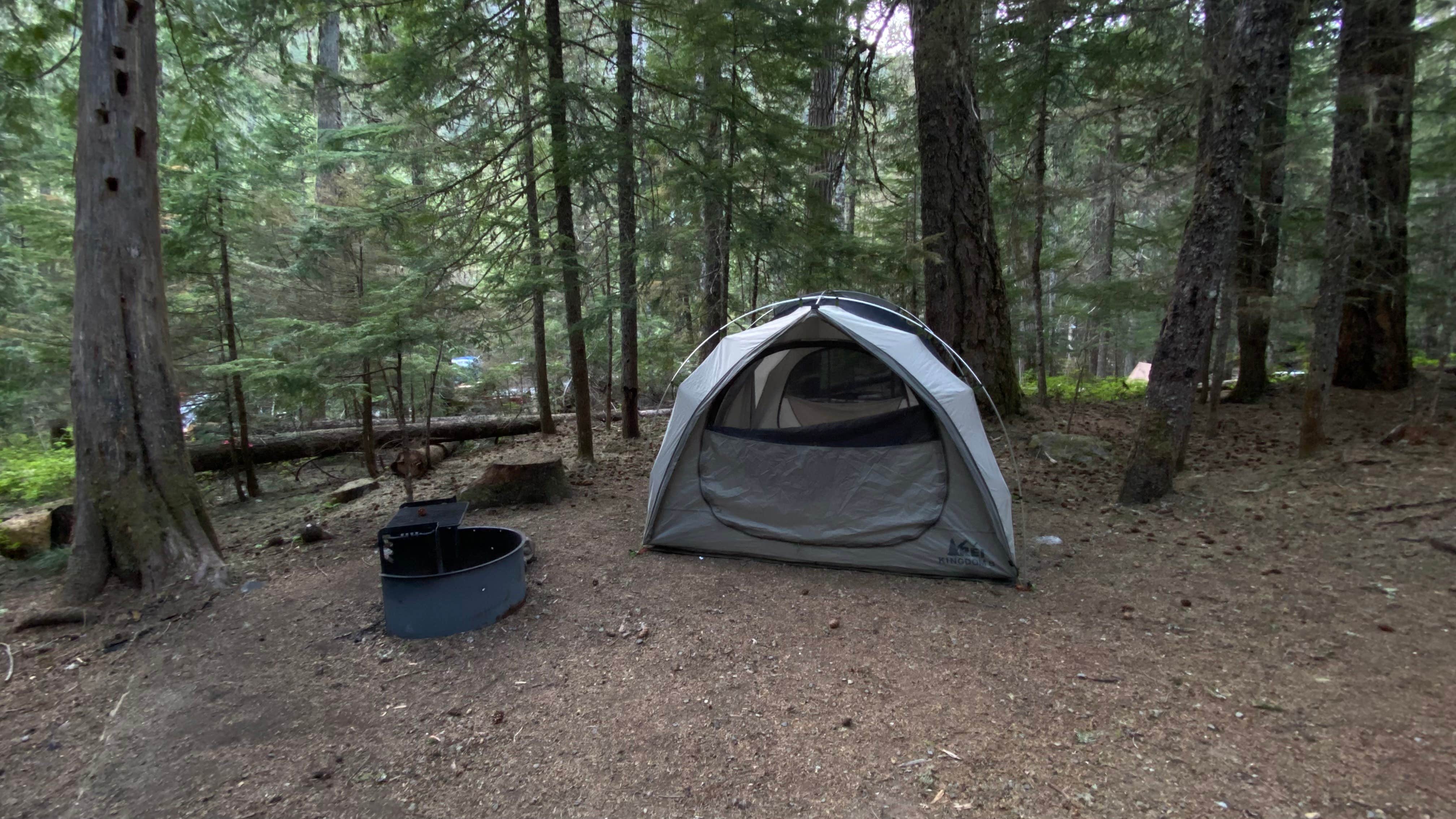 Avery C.'s photo at Cougar Rock Campground — Mount Rainier National Park near Ashford, WA