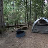 Review photo of Cougar Rock Campground — Mount Rainier National Park by Avery C., June 9, 2023