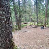 Review photo of Cougar Rock Campground — Mount Rainier National Park by Avery C., June 9, 2023