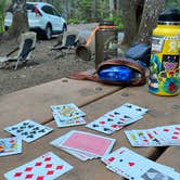 Review photo of Cougar Rock Campground — Mount Rainier National Park by Avery C., June 9, 2023