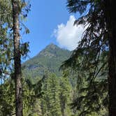 Review photo of Cougar Rock Campground — Mount Rainier National Park by Avery C., June 9, 2023