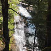 Review photo of Cougar Rock Campground — Mount Rainier National Park by Avery C., June 9, 2023