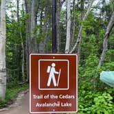 Review photo of Apgar Campground — Glacier National Park by Avery C., June 9, 2023