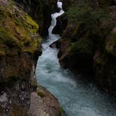 Review photo of Apgar Campground — Glacier National Park by Avery C., June 9, 2023