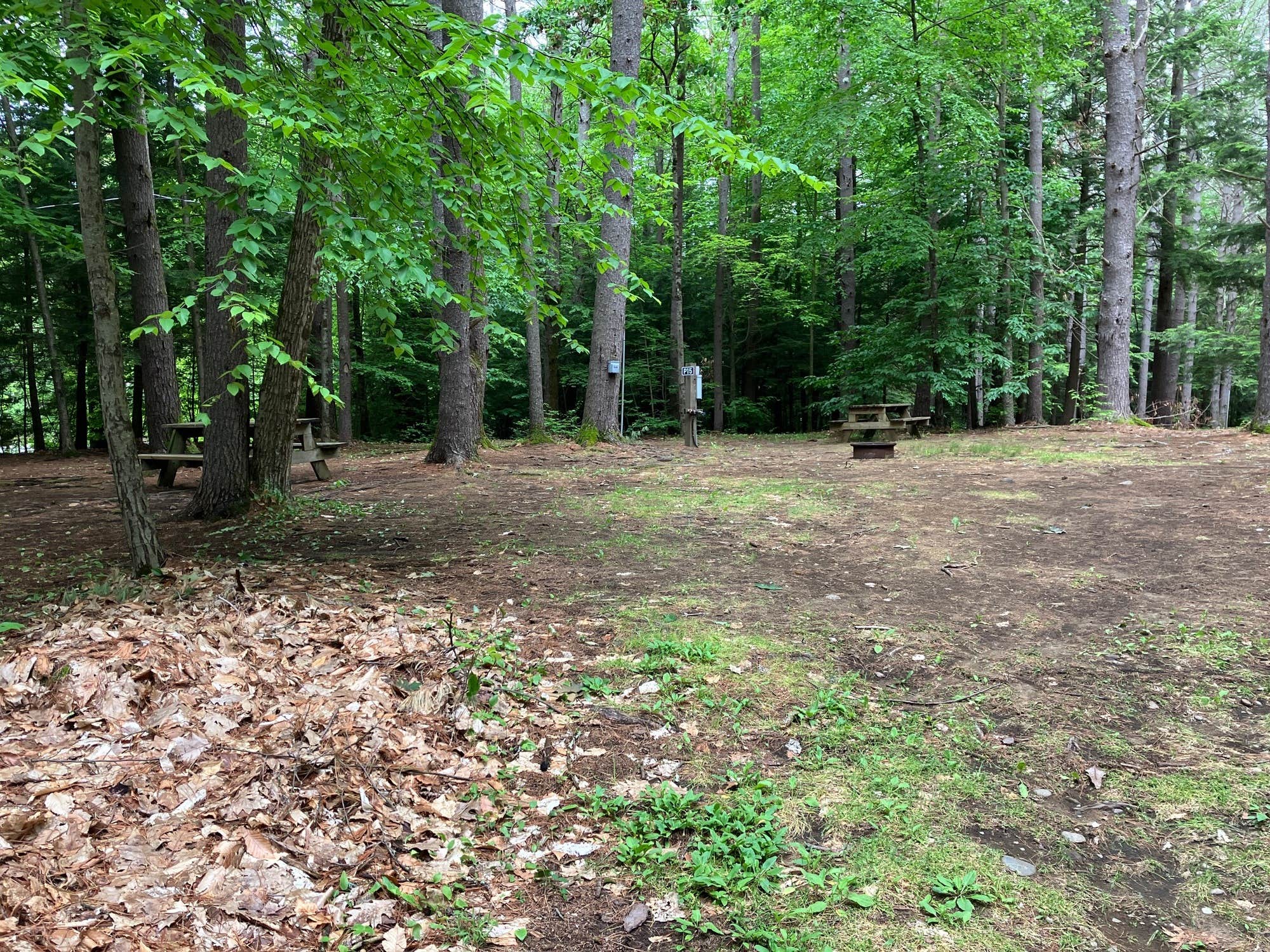 Camper-submitted photo at Camp Hudson Pines near Greenfield, NY