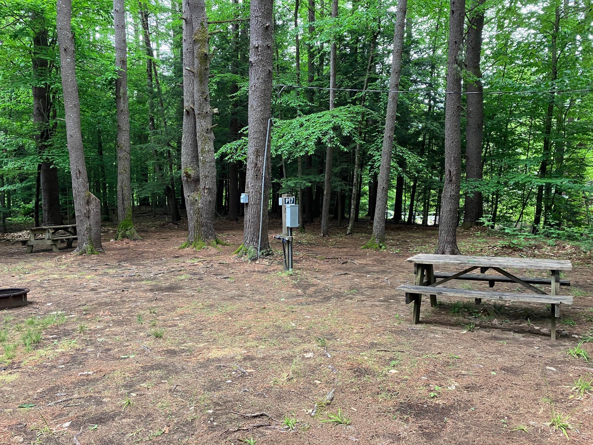 Camper-submitted photo at Camp Hudson Pines near Greenfield, NY