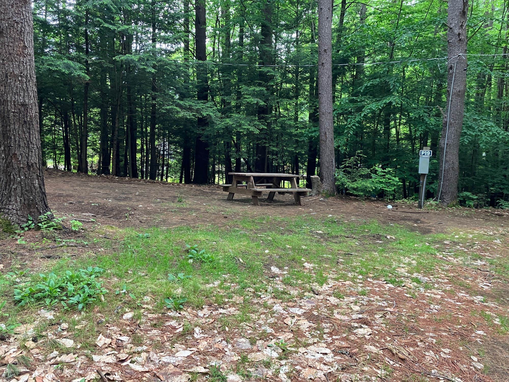 Camper-submitted photo at Camp Hudson Pines near Greenfield, NY