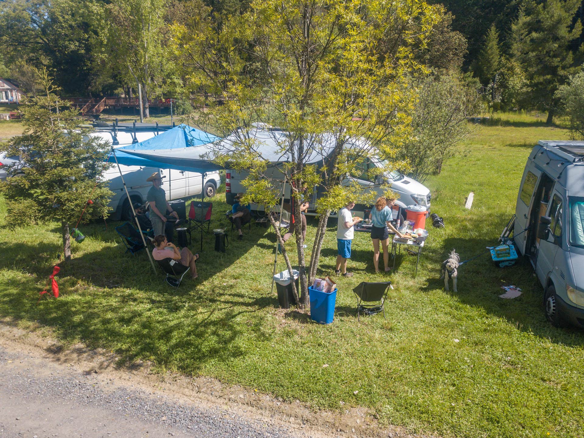 The Dyrt's photo of camping with pets at Mendocino Magic near Fort Bragg, CA