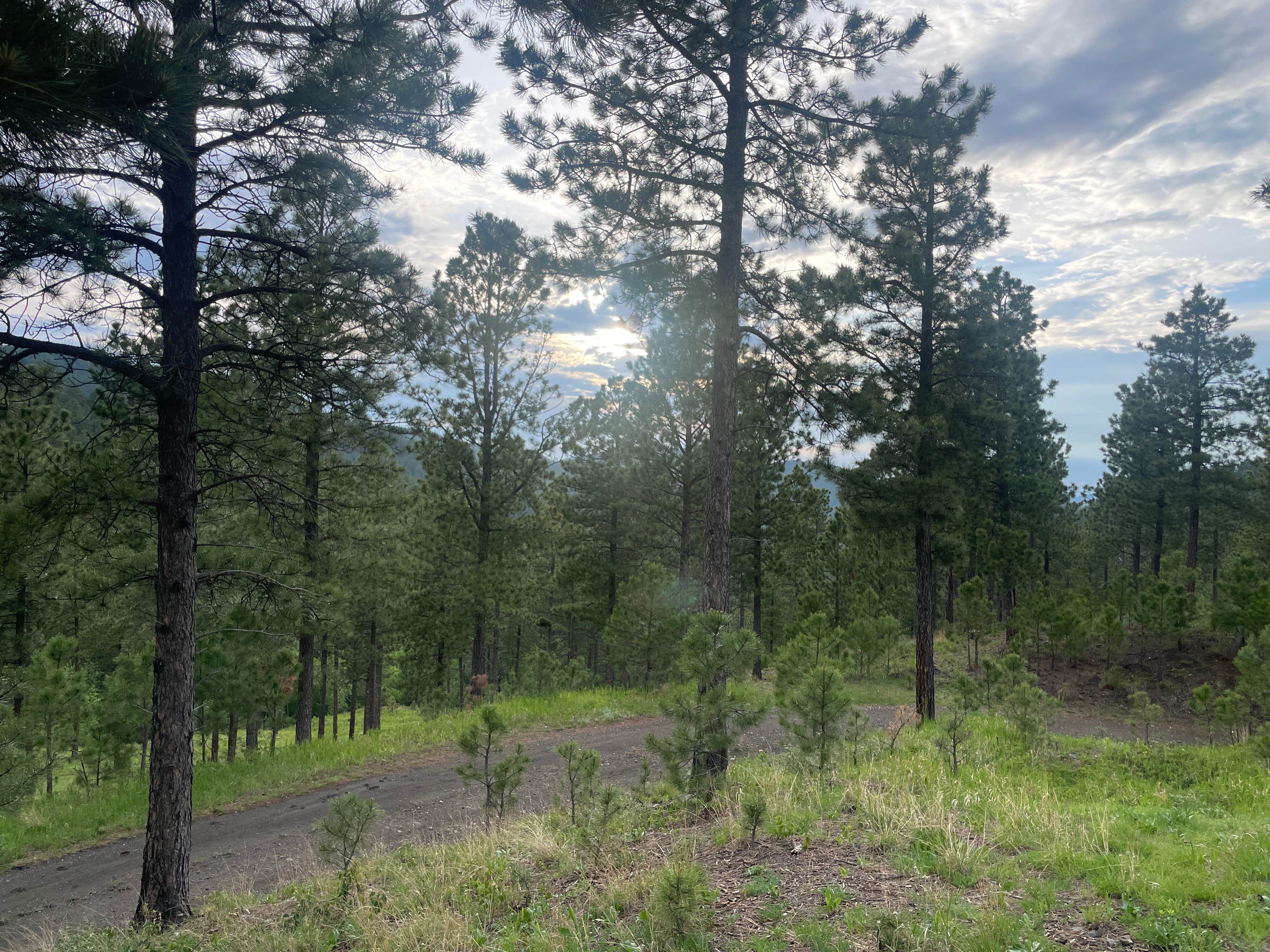 Camper-submitted photo at Calumet Rd Dispersed Camping near Rapid City, SD