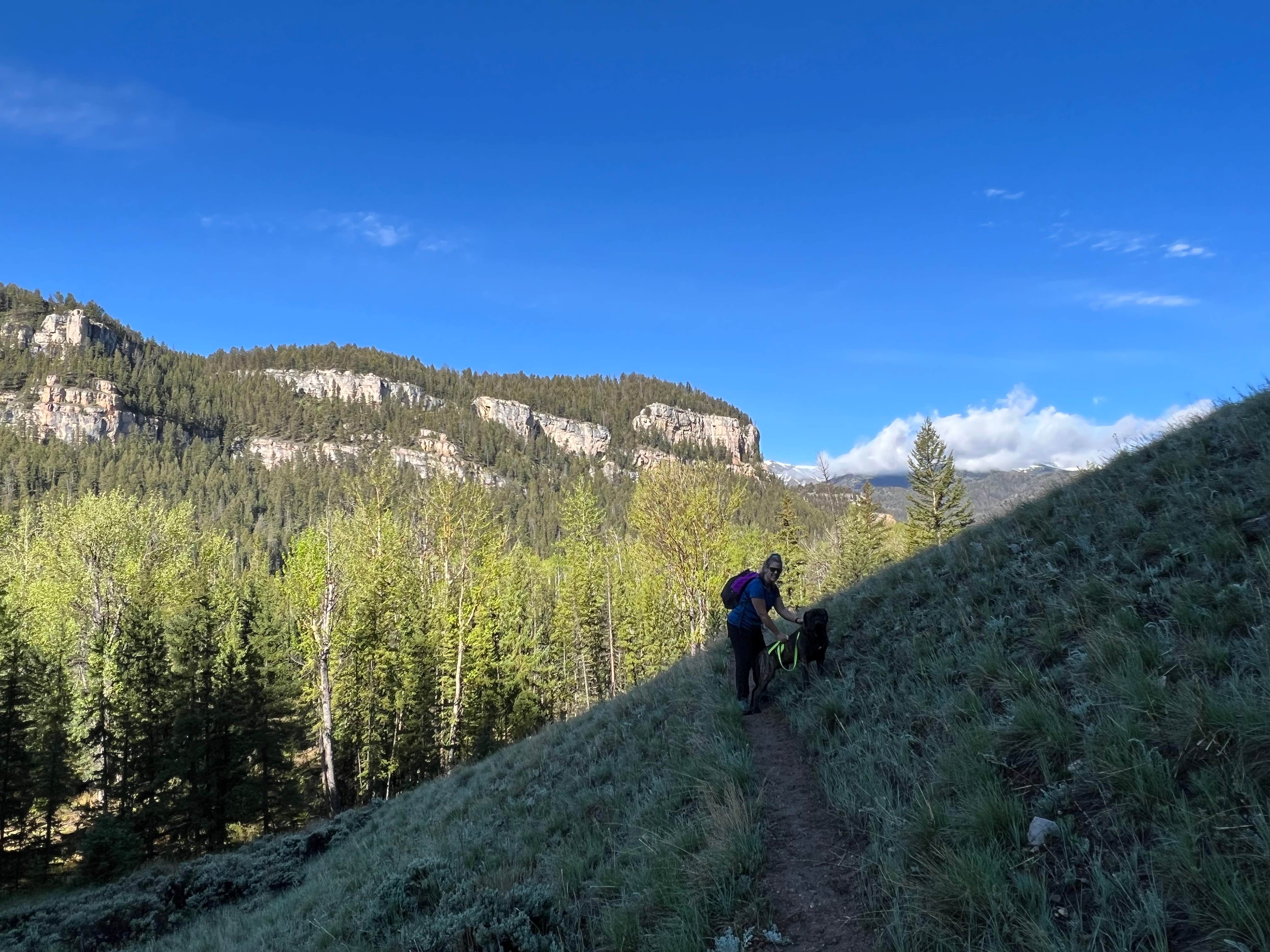 Adam S.'s photo of camping with pets at Little Sunlight Camping Area near Cody, WY
