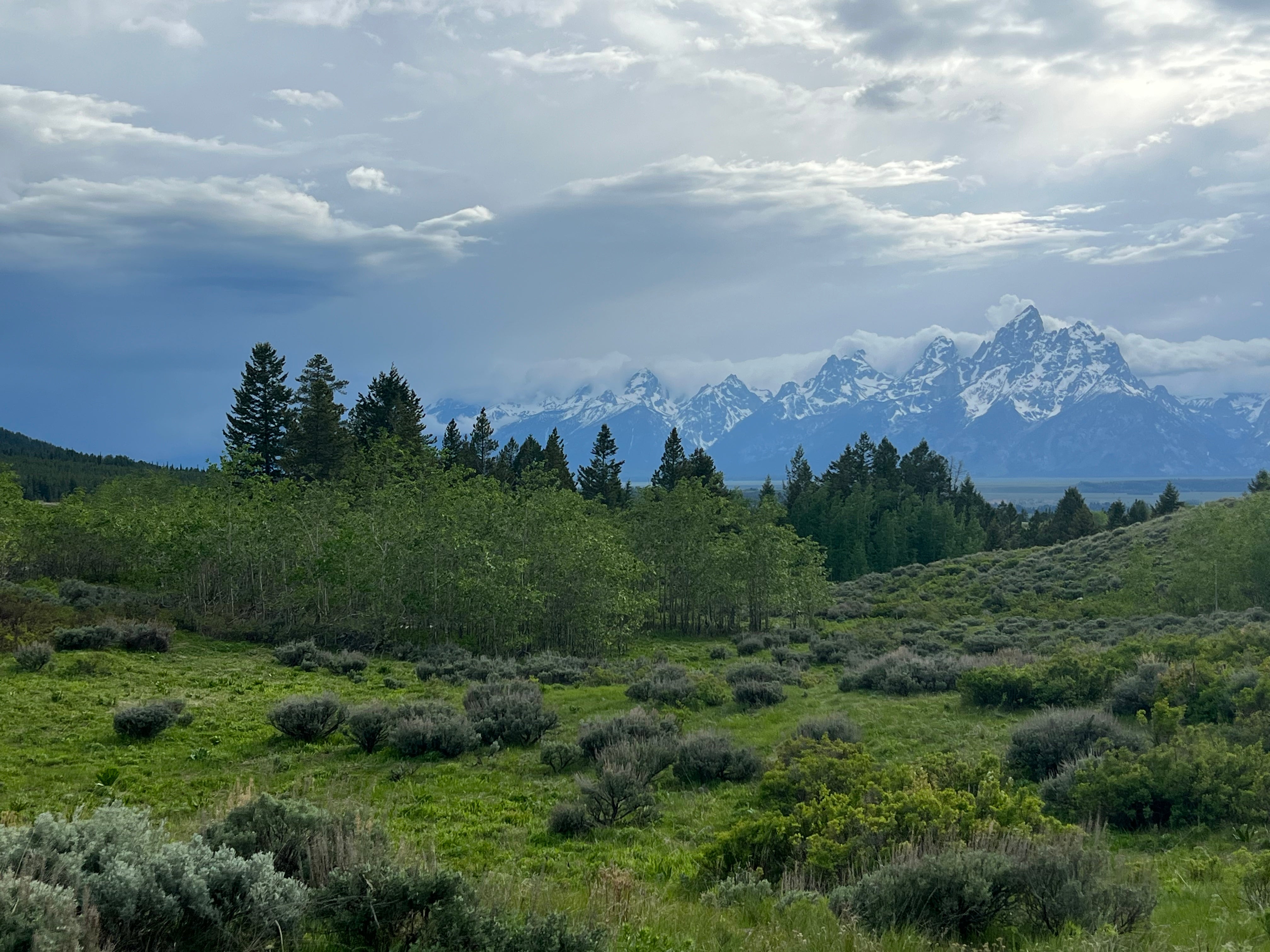 Camper submitted image from Grand Teton Lookout - 2