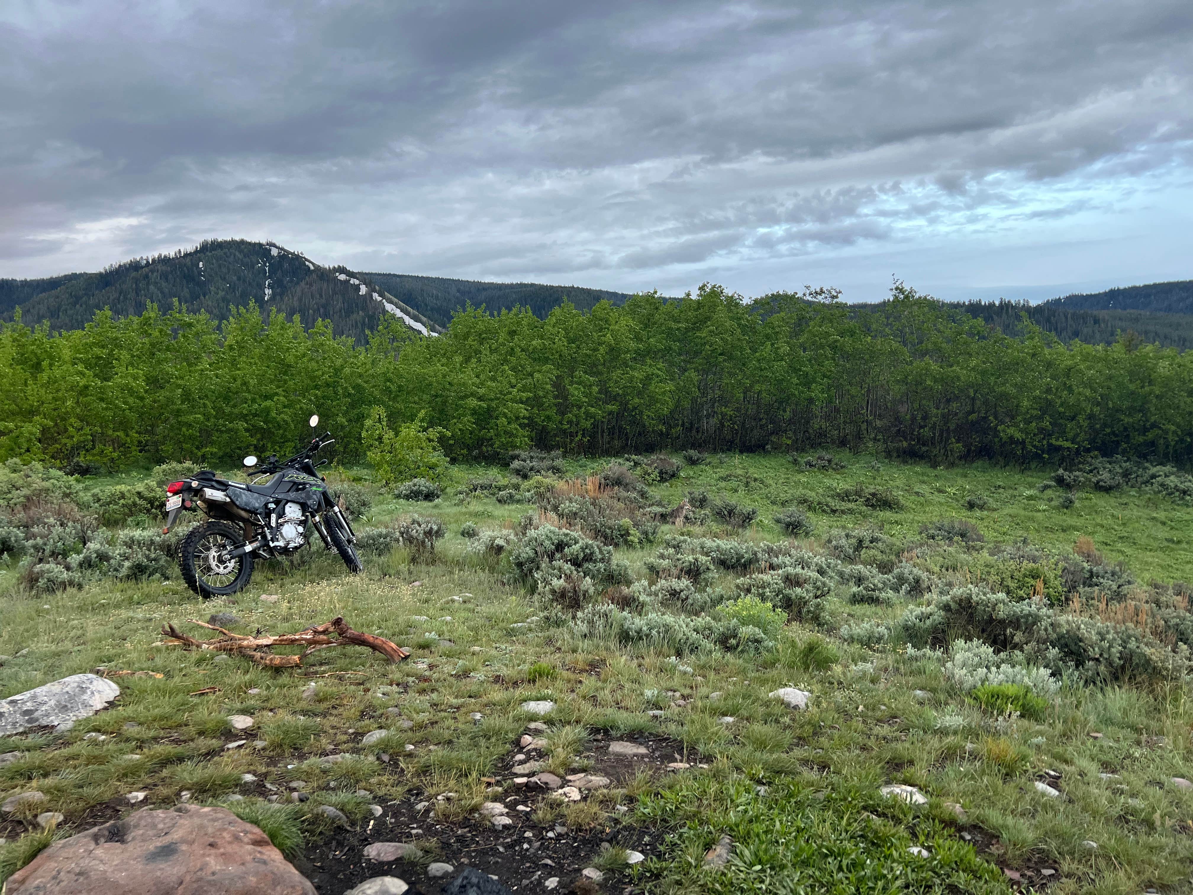 Camper submitted image from Grand Teton Lookout - 5