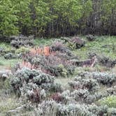 Review photo of Grand Teton Lookout by Adam S., June 10, 2023