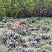 Review photo of Grand Teton Lookout by Adam S., June 10, 2023