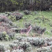 Review photo of Grand Teton Lookout by Adam S., June 10, 2023