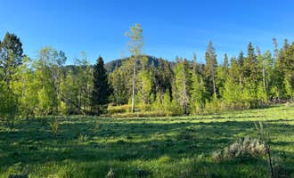 Camping near Bridger-Teton National Forest: Spread Creek Meadows 4-7, Moran, Wyoming