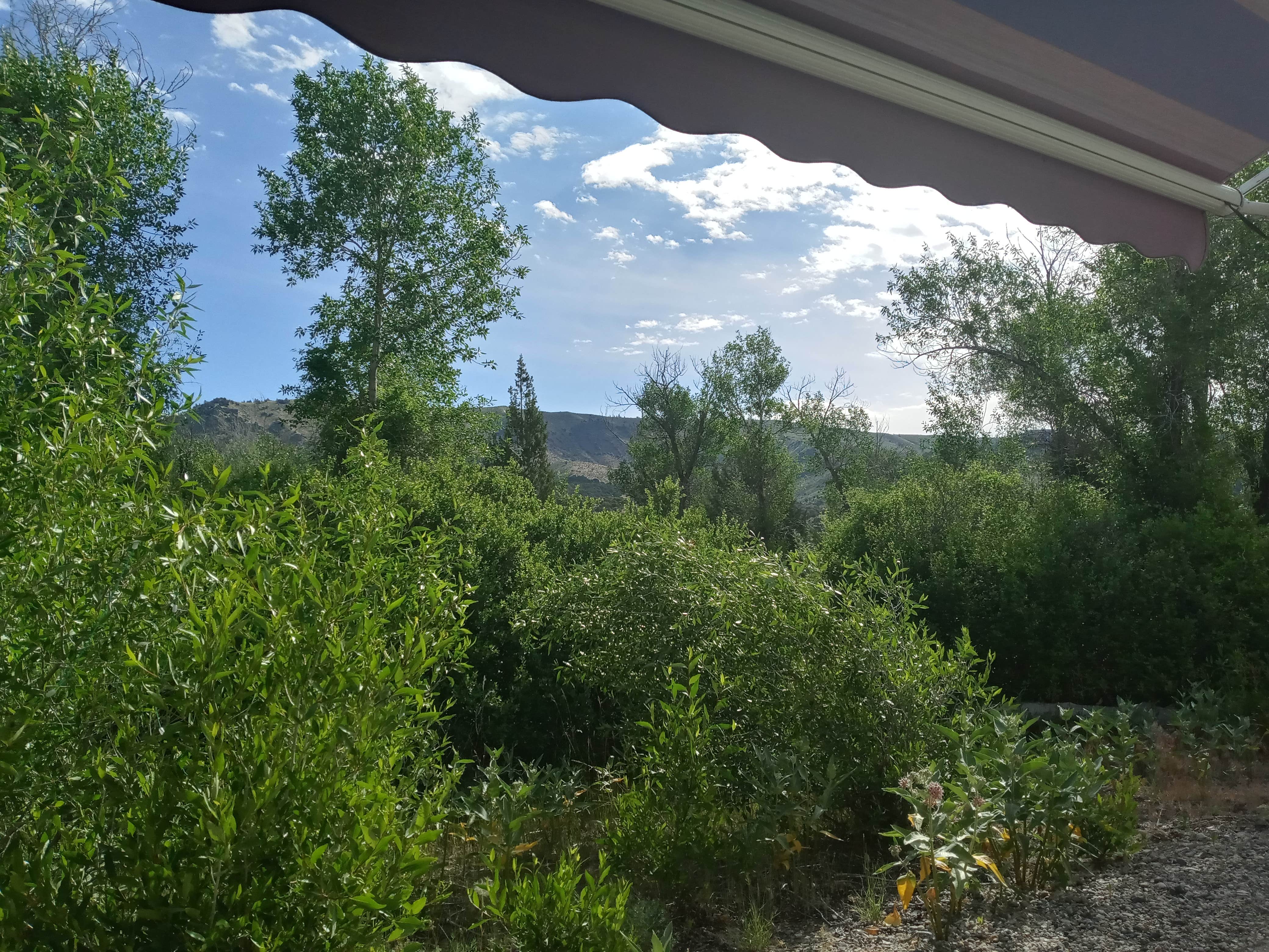 Camper-submitted photo at Kelly Island Campground near Rigby, ID