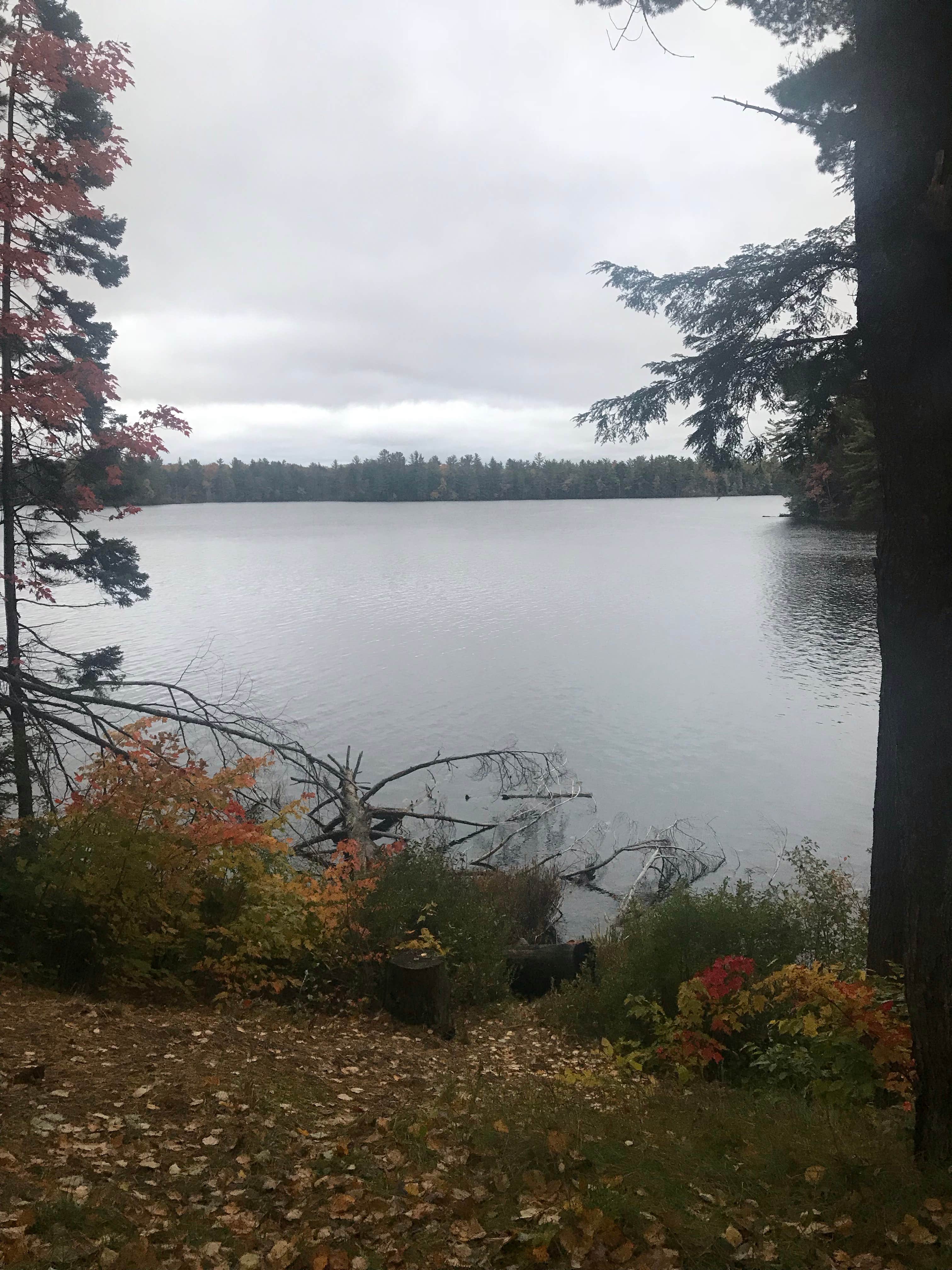 Camper-submitted photo at South Gemini Lake State Forest Campground near Nahma, MI