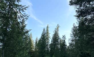 Camping near Schweitzer Mountain Fire Station: Turnipseed Creek Campsites, Dover, Idaho