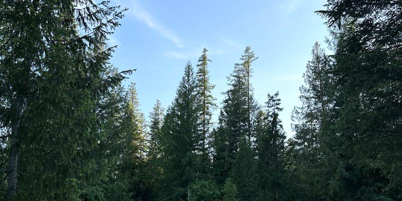 Camper submitted image from Turnipseed Creek Campsites