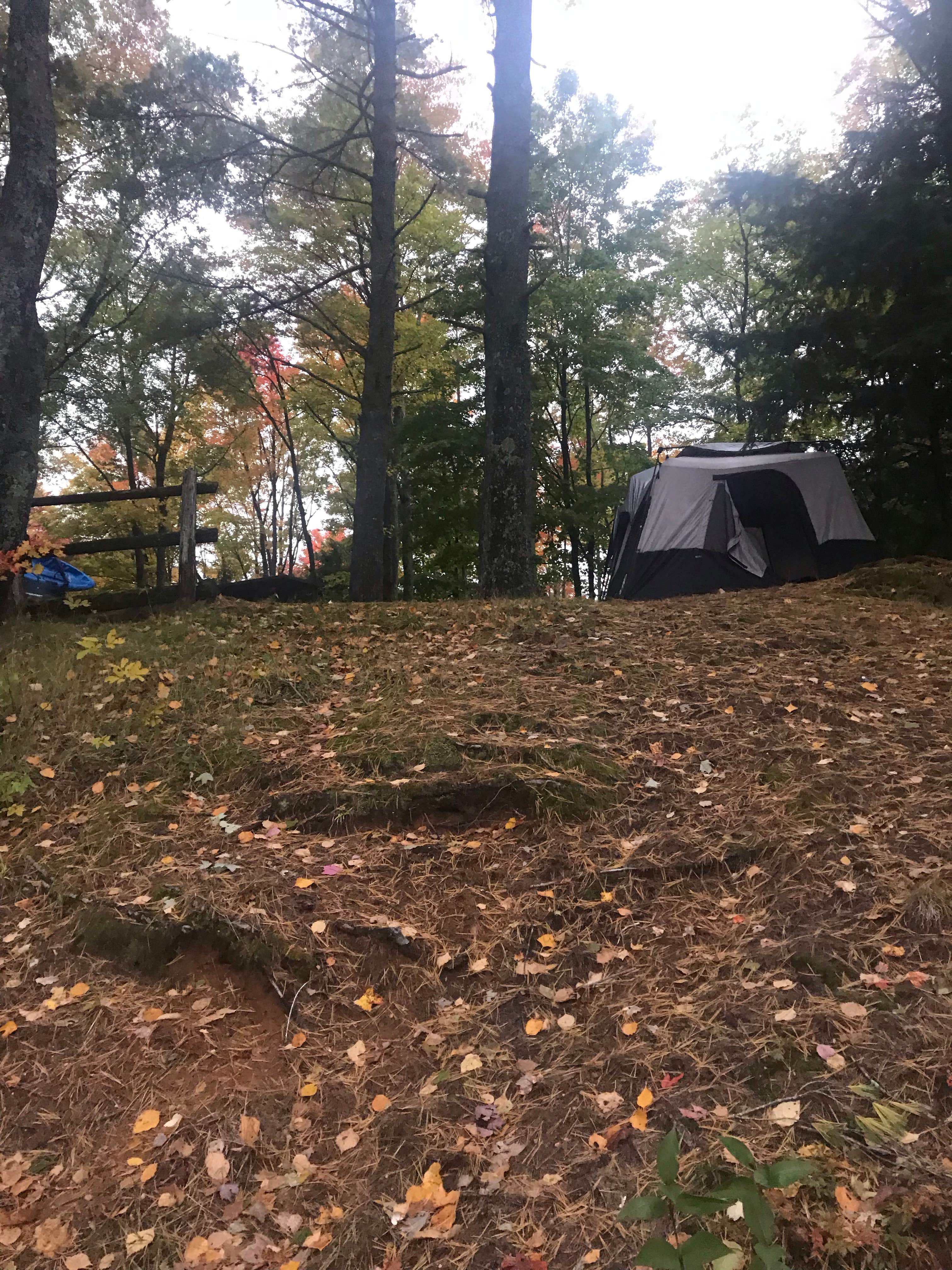 Magy C.'s photo of tent camping at South Gemini Lake State Forest Campground near Nahma, MI