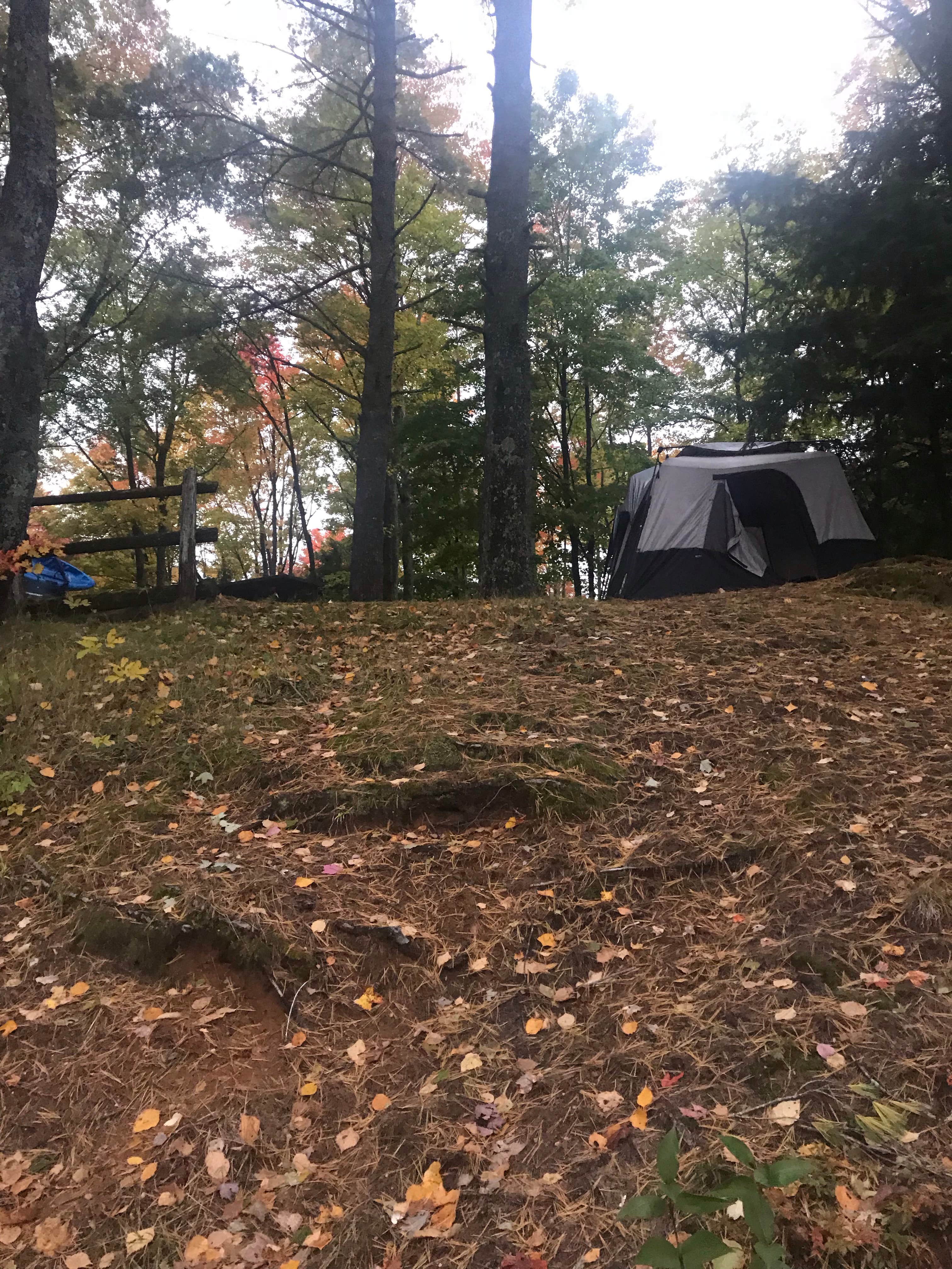 Camper submitted image from South Gemini Lake State Forest Campground - 5