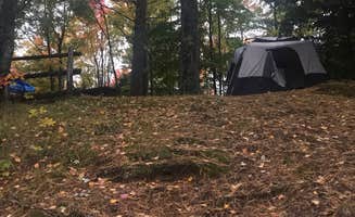 Magy C.'s photo of tent camping at South Gemini Lake State Forest Campground in Michigan