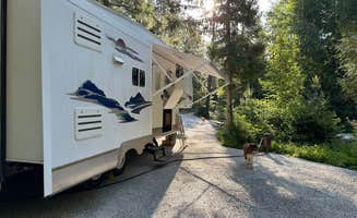 Steve A.'s photo of camping with pets at Turnipseed Creek Campsites near Moyie Springs, ID