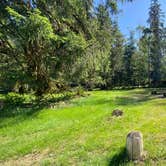 Review photo of Hoh Rain Forest - Olympic National Park by Avery C., June 10, 2023