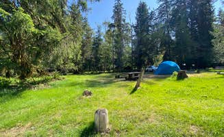 Avery C.'s photo at Hoh Rain Forest - Olympic National Park near Sol Duc Hot Springs, WA