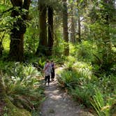 Review photo of Hoh Rain Forest - Olympic National Park by Avery C., June 10, 2023