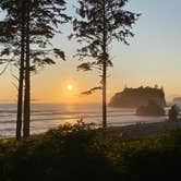 Review photo of Hoh Rain Forest - Olympic National Park by Avery C., June 10, 2023