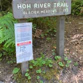 Review photo of Hoh Rain Forest - Olympic National Park by Avery C., June 10, 2023