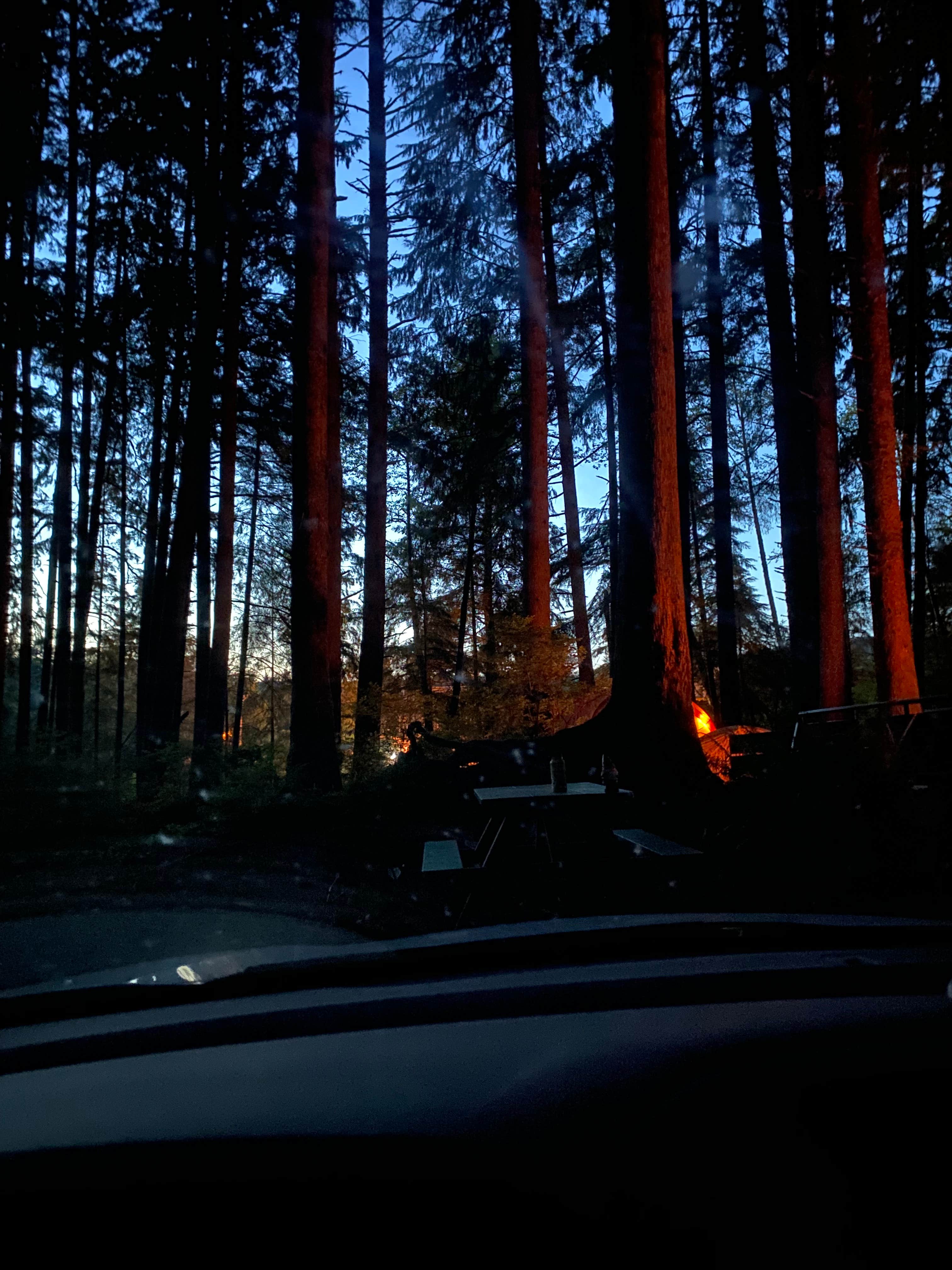 Camper-submitted photo at Wright's for Camping near Cannon Beach, OR