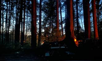 Camping near Nehalem Bay Trailer Park: Wright's for Camping, Cannon Beach, Oregon