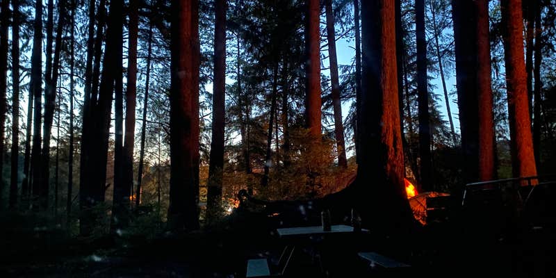 Camper submitted image from Wright's for Camping