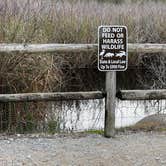 Review photo of Gulf State Park Campground by Napunani , June 10, 2023