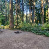 Review photo of Silver Falls State Park by Avery C., June 10, 2023