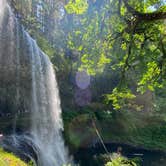 Review photo of Silver Falls State Park Campground by Avery C., June 10, 2023