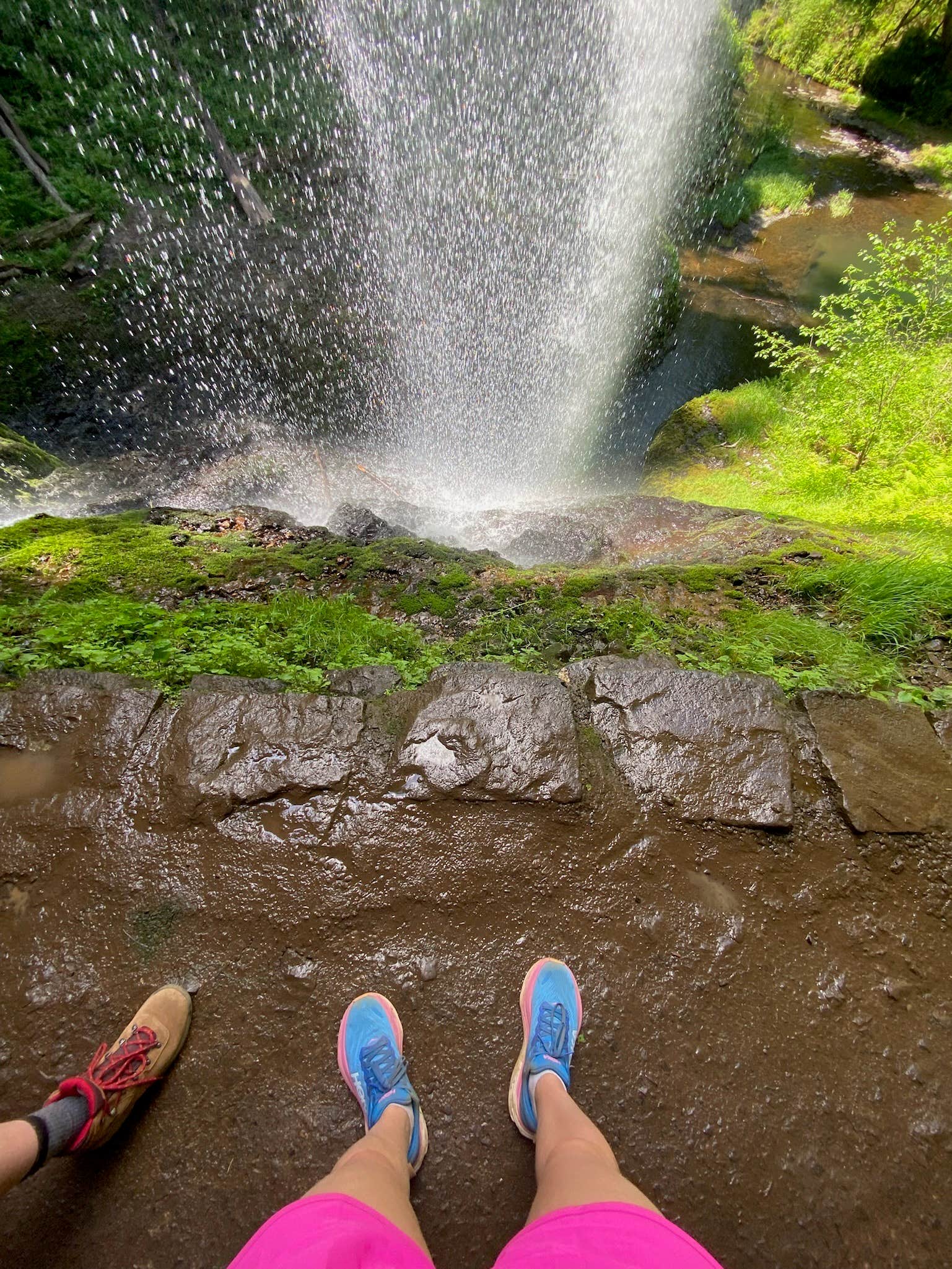 Camper submitted image from Silver Falls State Park Campground - 1